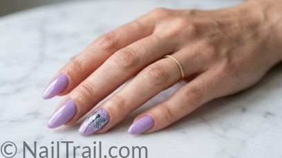 15 Dragonfly Nails That Are Going Viral Right Now